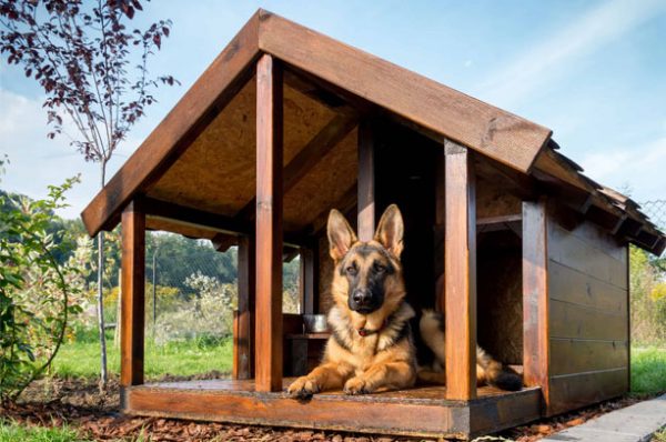Casas para perros - Carpintero a domicilio en Quito - Cumbayá - Tumbaco